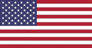 american flag-Warner Robins