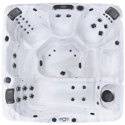 Avalon EC-840L hot tubs for sale in Warner Robins