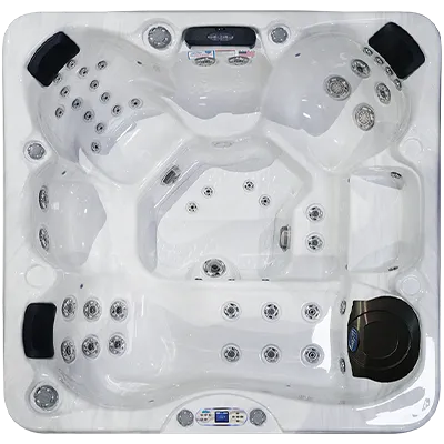 Avalon EC-849L hot tubs for sale in Warner Robins