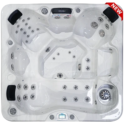 Avalon-X EC-849LX hot tubs for sale in Warner Robins
