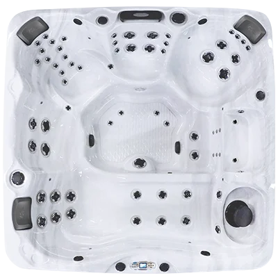 Avalon EC-867L hot tubs for sale in Warner Robins