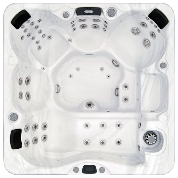 Avalon-X EC-867LX hot tubs for sale in Warner Robins