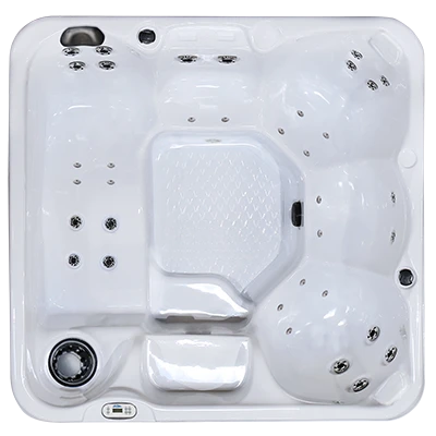 Hawaiian PZ-636L hot tubs for sale in Warner Robins